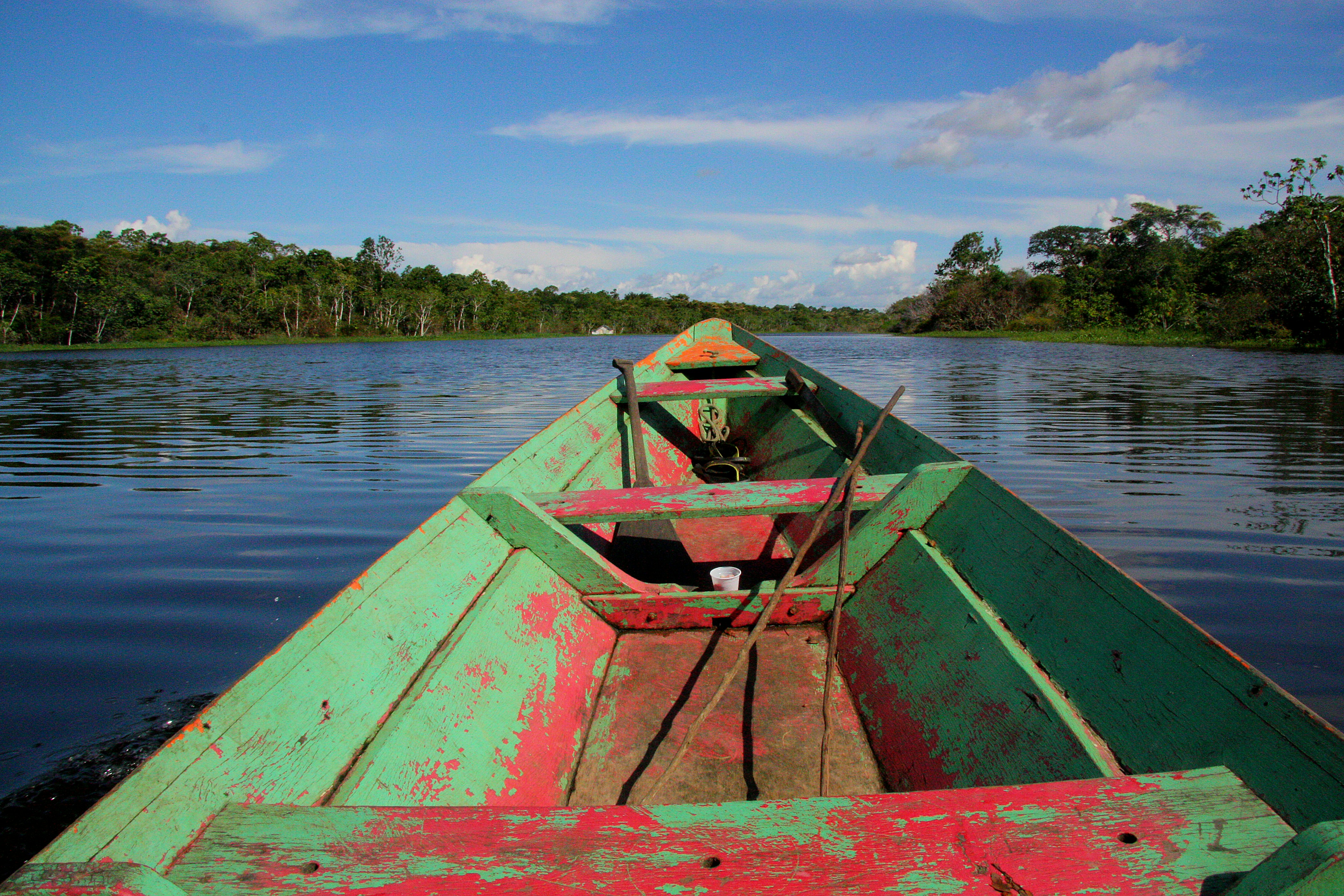 Amazon river in the rainforest.
